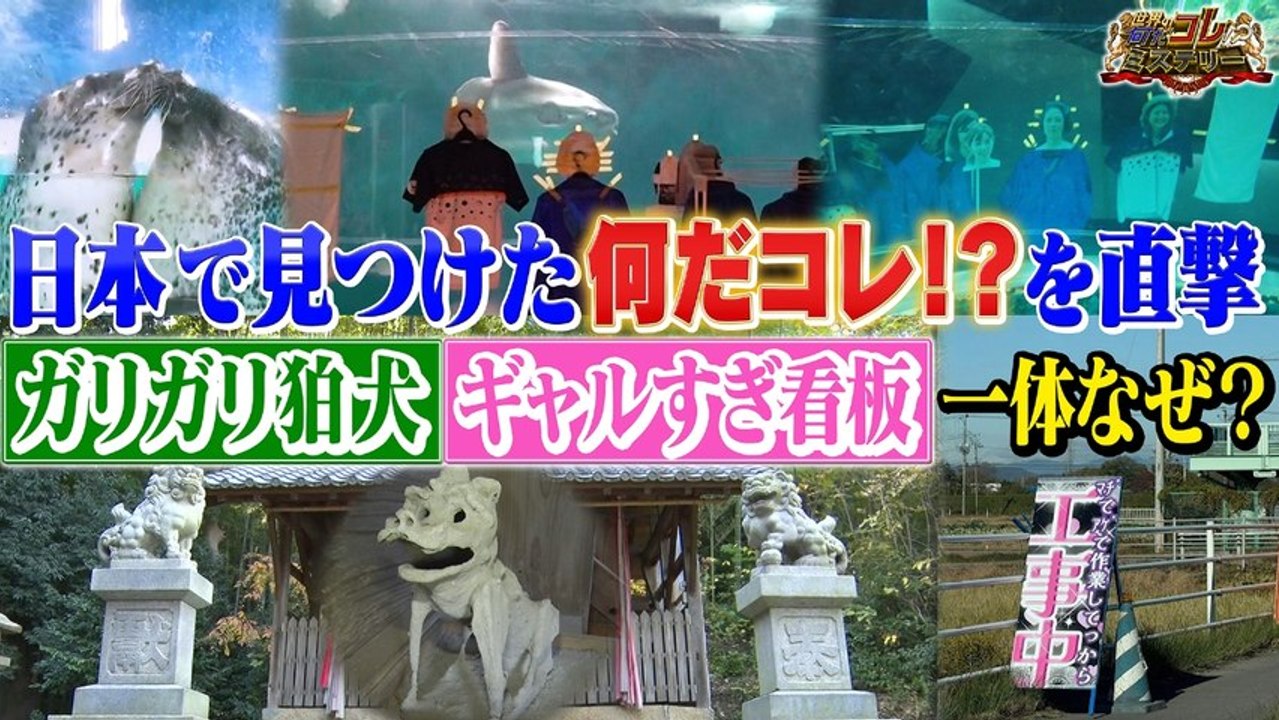 世界の何だコレ！？ミステリー ガリガリの狛犬？ギャルすぎ看板？何だコレ - 2026年03月18日