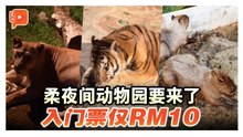 柔佛夜间动物园将开启 入门票仅RM10