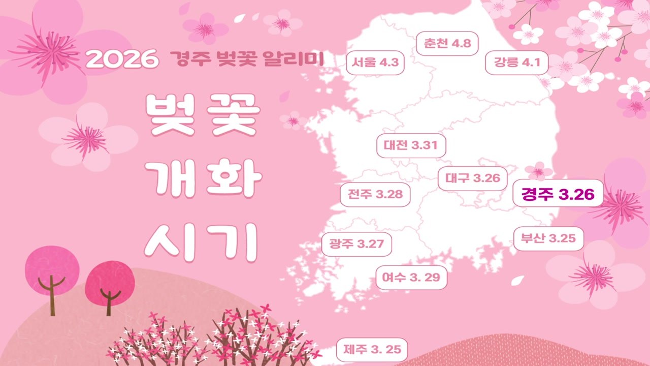 [경북] 경북 경주시, 경주 벚꽃 명소 개화 현황 실시간 제공 / YTN