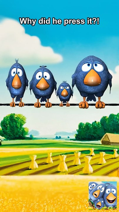 Try not to laugh: X-Ray edition 🦅 Talking Birds On A Wire Game