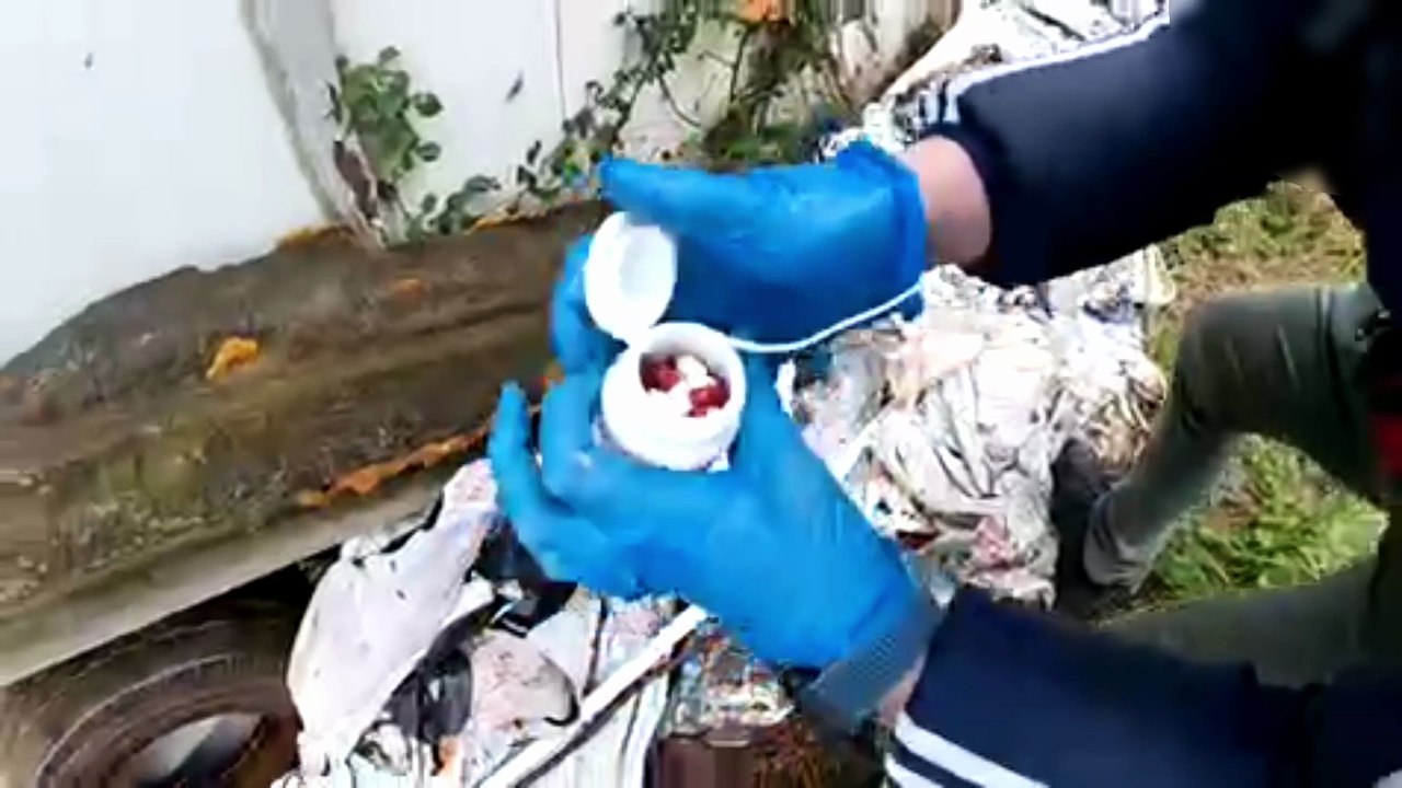 Bayramda suçlulara geçit verilmedi! 87 şüpheli yakalandı