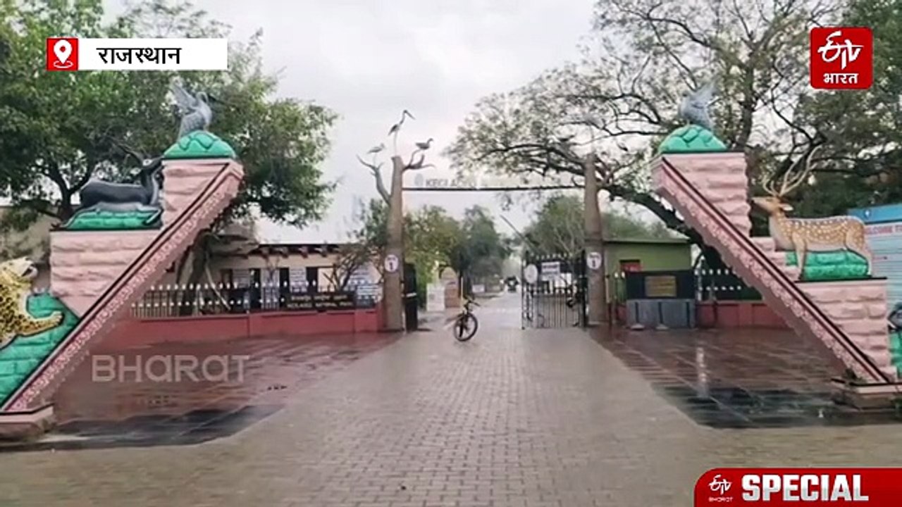 ईरान युद्ध का असर: घना में घटे विदेशी पर्यटक, 5 हजार बुकिंग कैंसिल, होटल ऑक्यूपेंसी बेहद कम