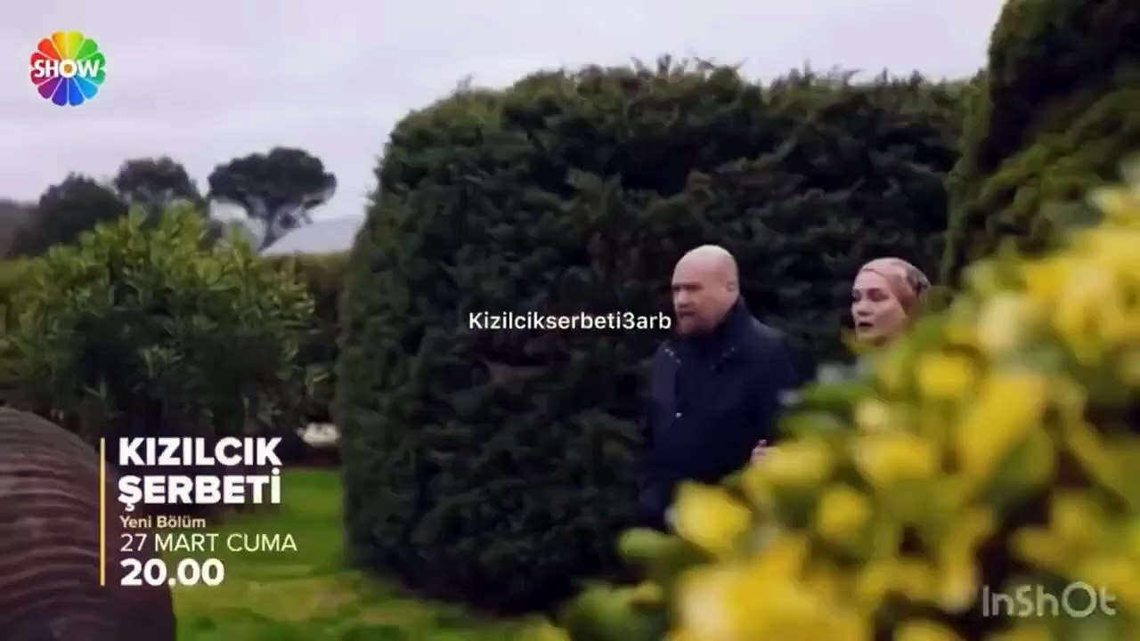 مسلسل شراب التوت البرى الحلقة 130 الموسم الرابع...
