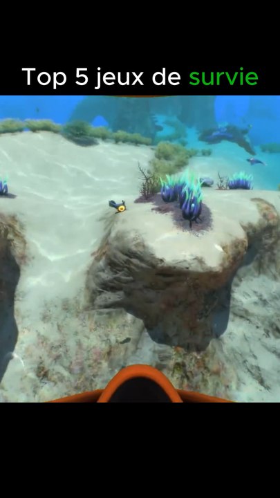 Top 5 jeux je survie