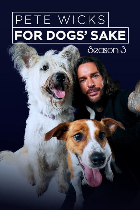 Pete Wicks: For Dogs Sake - Season 3 - Episode 04: The Greyhounds, Sam and Pebbles