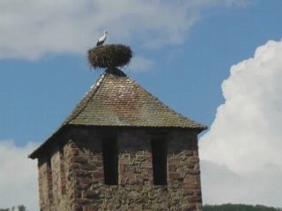 Balade en Alsace