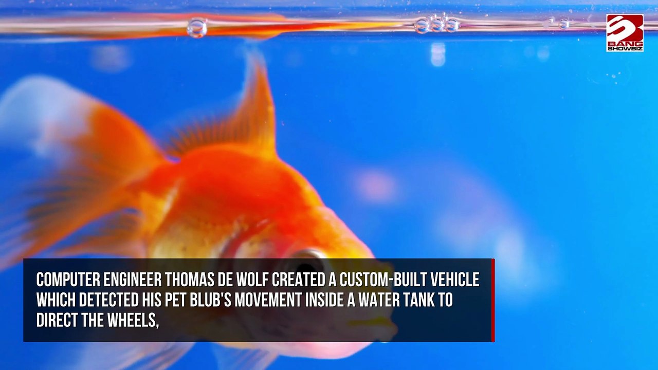 Goldfish has driven its way into the Guinness Book of Records