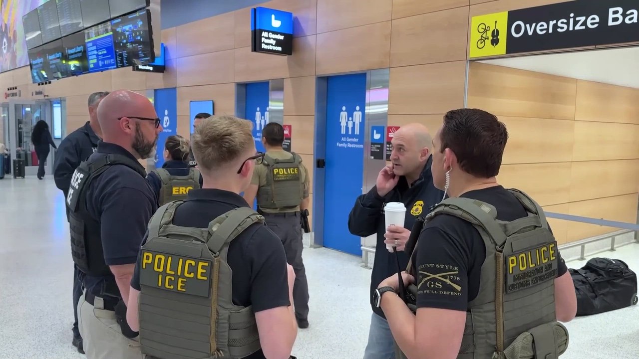 ICE agents deployed to airports for crowd control, potential arrests