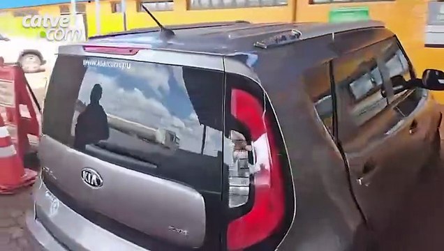 56 kg de haxixe são apreendidos pela PRF na BR 369
