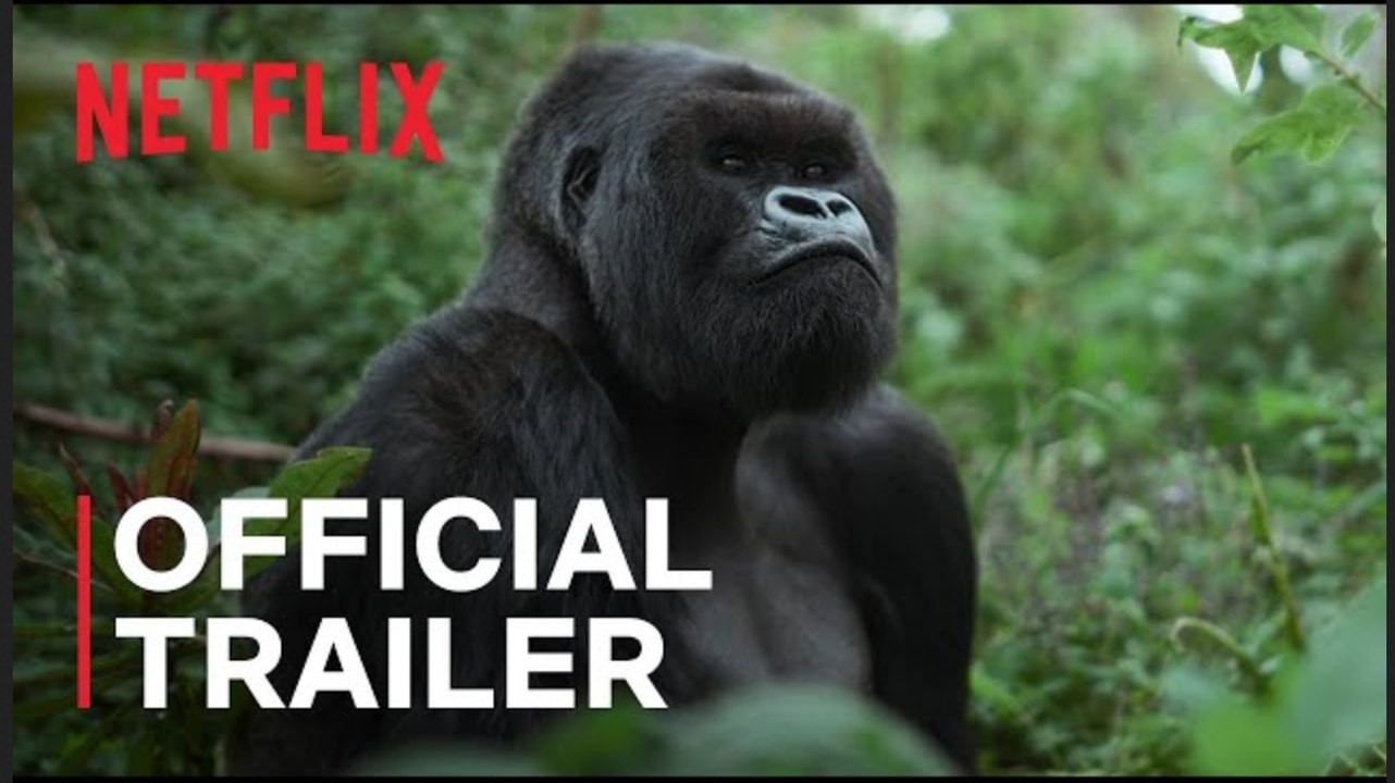 A Gorilla Story: Told by David Attenborough | Official Trailer - Netflix