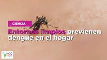 Entornos limpios previenen dengue en el hogar