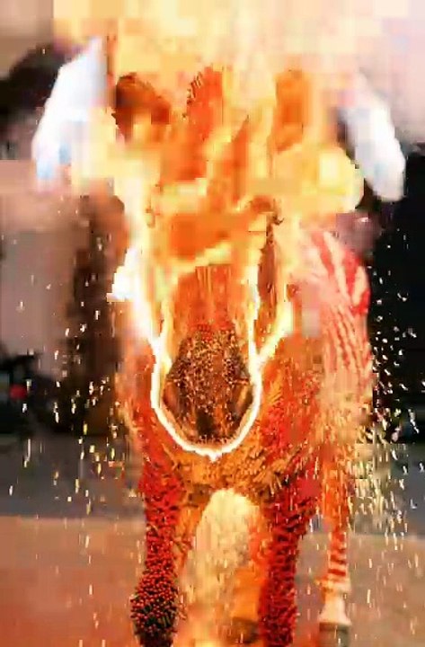 Matchstick Zebra EXPLODES in Flames! 🔥 Insane 30,000-Stick Burn"