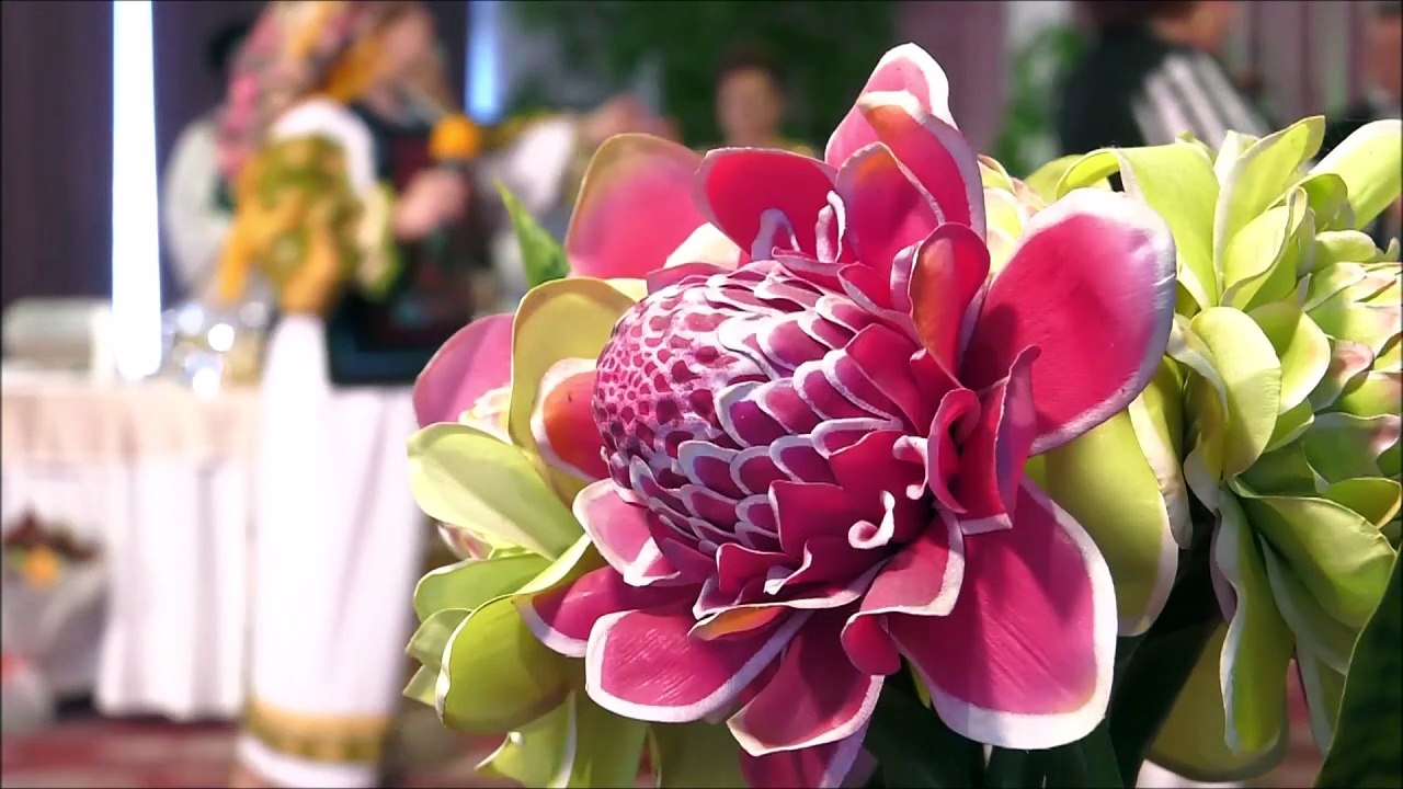 Saveta Bogdan - Joi in targ la Nasaud (Cantec din suflet de roman - ETNO TV - 31.10.2025)