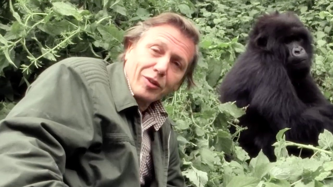 David Attenborough Tells a Remarkable Gorilla Story on Netflix