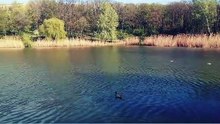 The Dendrarium Public Park and its beautiful lake