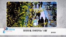 [포토오늘] 완연한 봄, 미세먼지는 '나쁨' / YTN