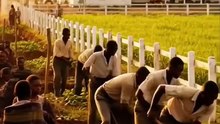 MAU MAU UPRISING STORY-KENYA