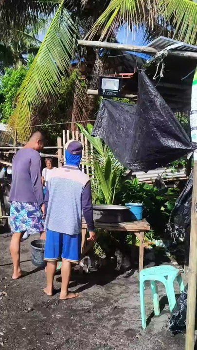 Fresh Catch! 🎣 Mike and Tiyo Ronald Buying Fish at the Shore