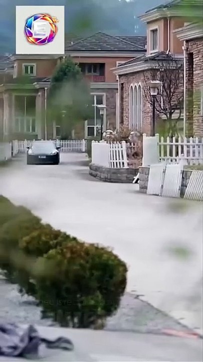 Blood Phoenix - The Real Heiress Isodes