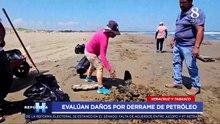 ¡El mar se está muriendo! Derrame petrolero arrasa con fauna y costas en el Golfo de México