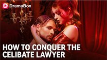 🔥 🔥 Hot 2026 How To Conquer The Celibate Lawyer