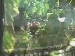 Pisco. Patrimonio cultural del Perú. 1