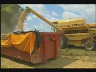 Complexos Culturais  Soja