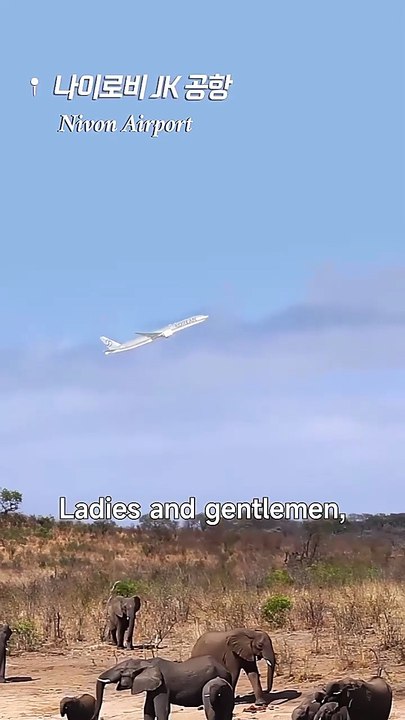 [Eng sub] Honey Guess Whos the REAL BOSS(DUBBED) Full Movie