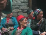 Langtang Trek.