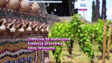Projekt Pompeje ożywia starożytną tradycję produkcji wina