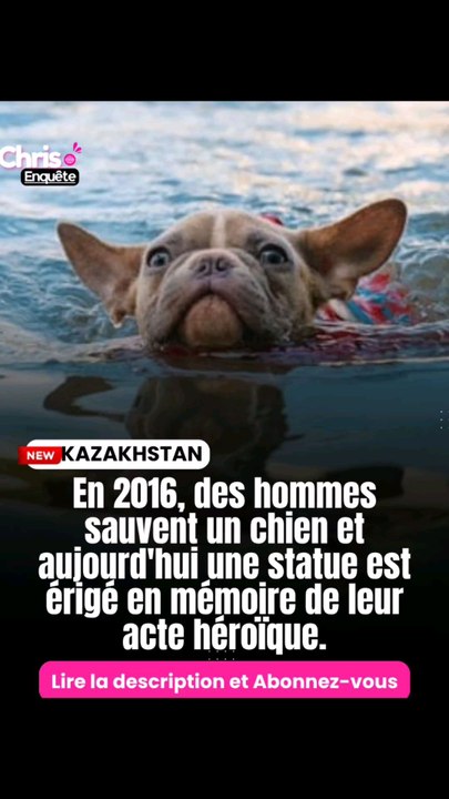 En 2016, des hommes ont sauvé un chien d'un réservoir à Almaty, au Kazakhstan. Une statue a été faite en leur honneur.