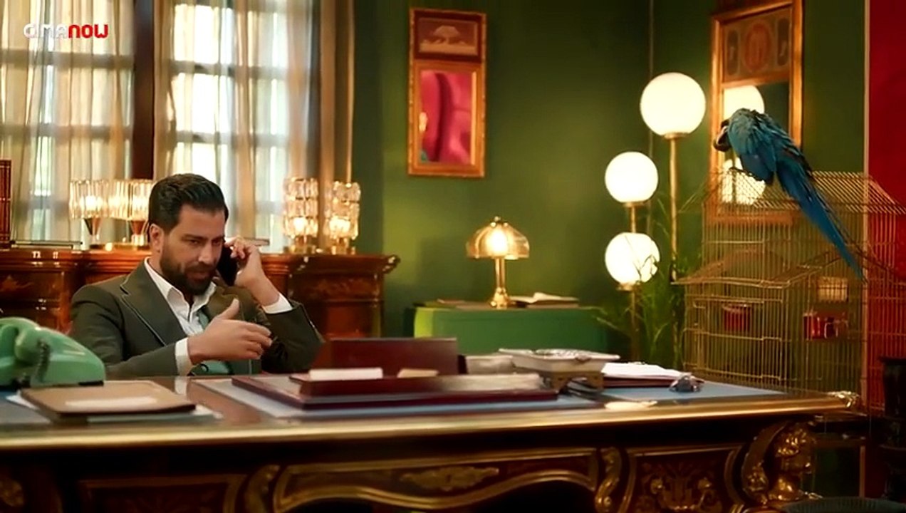 لوبي الغرام 8