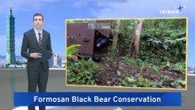 Taiwan To Build Sanctuary for Formosan Black Bears in Taitung