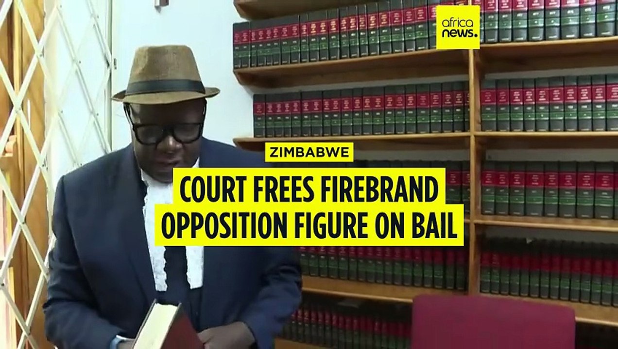 Zimbabwe opposition leader granted bail amid growing tensions over constitutional changes