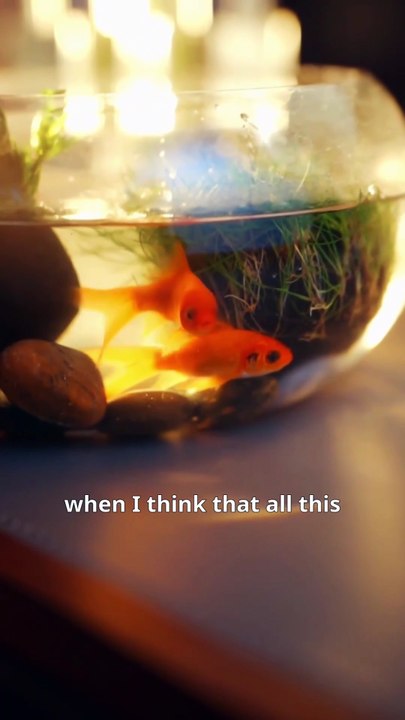 the rescue i never had chinese drama