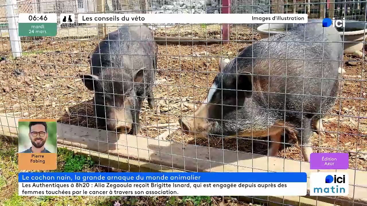 24/03/2026 - ici matin par ici Azur en vidéo