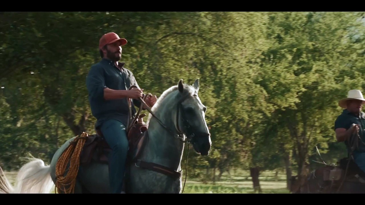 The Whistler - Trailer (English) HD