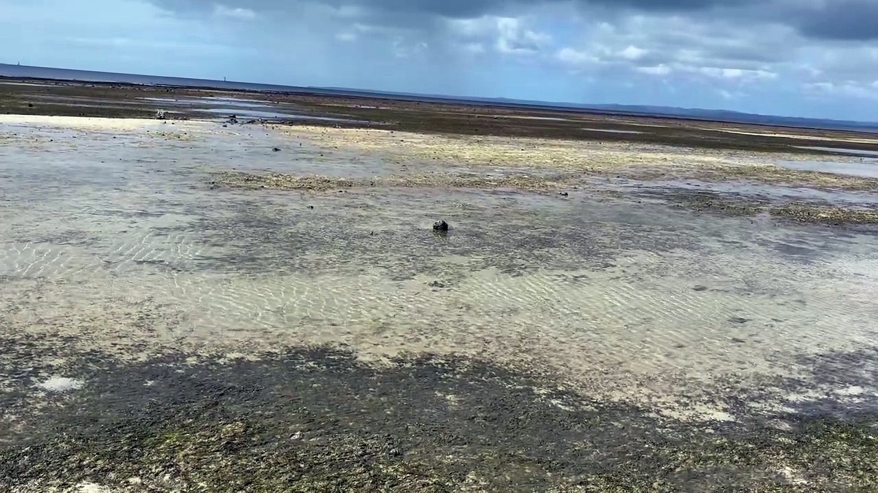 Tidal flats