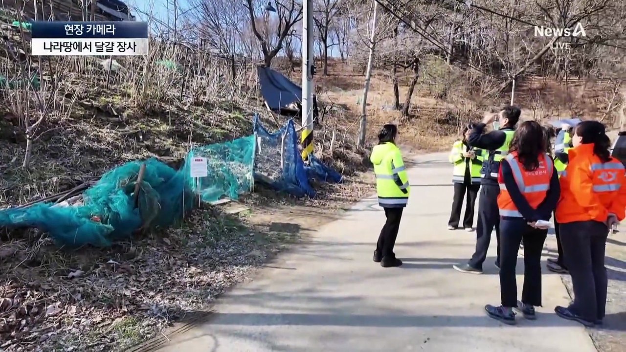 [현장 카메라]나라 땅에서 달걀 장사…적반하장 무단점유