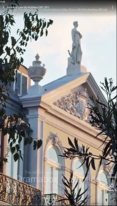 Forced To Love The Ruthless CEO