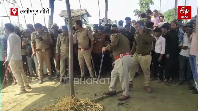 लखीमपुर खीरी में खेत में घुसे तेंदुए को ग्रामीणों ने घेरकर पकड़ा, हमले में दो लोग भी घायल