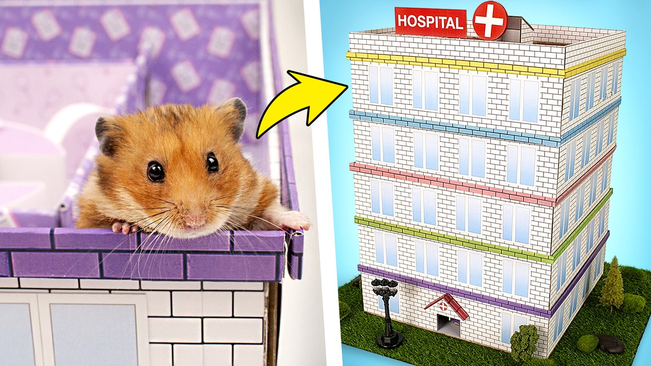Supers labyrinthes pour hamsters