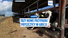 Lesbos: Nowe przypadki pryszczycy