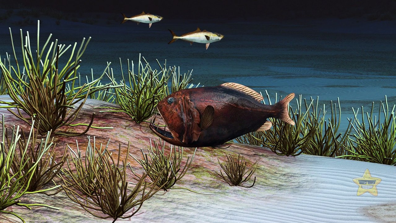 The Ocean Is a Creepy Place – Just Listen to These Sounds!