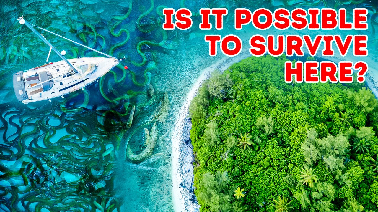 How to Get Out of This Snake Island Alive?