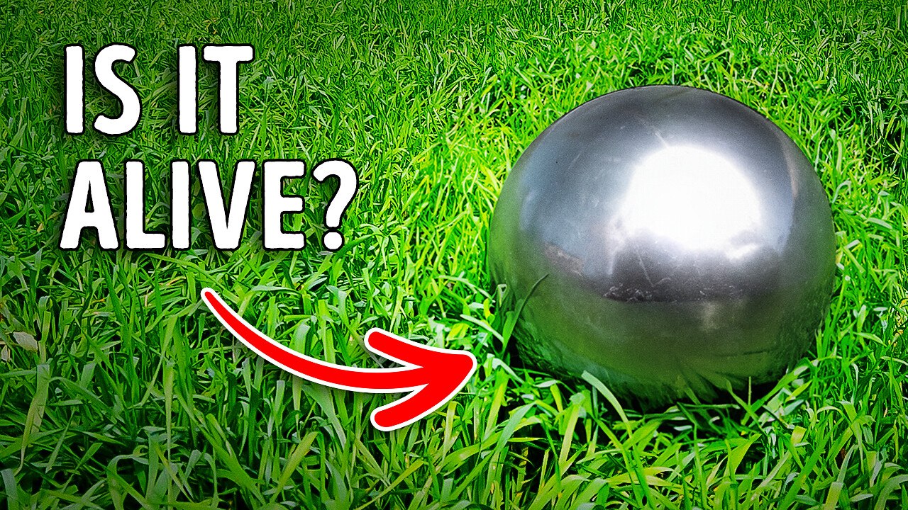 How the Betz Family Fooled Everyone With Their Sphere