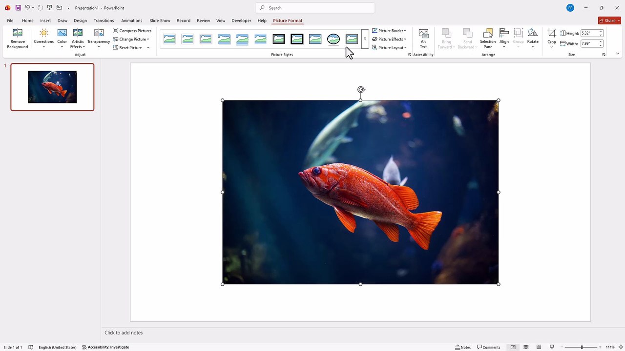 MS PowerPoint 18 Picture Layout
