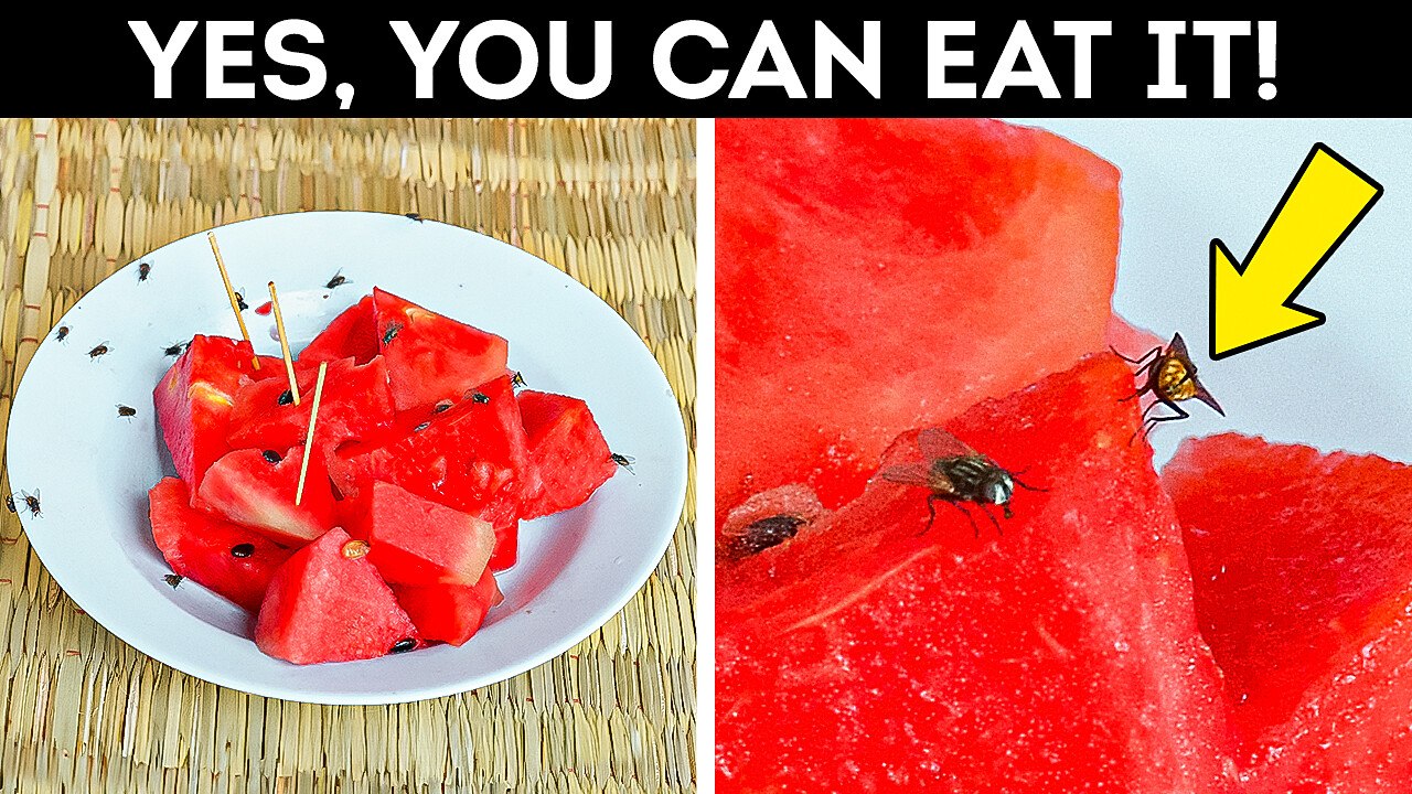 Flies on Food: A Disgusting Danger You Need to Know || Curious Food Facts by Bright Side Global