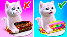 🐾 Purr-licios Kitchen Hacks! 🍲😻 Cat's Culinary Crazy Ideas by MEOWSOME!