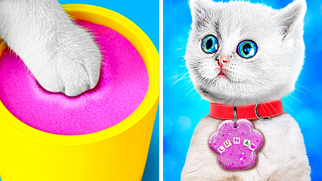 Kitten Received a Birthday Gift! 😻 Best Unboxing From Cute Cat 🐾 || DIY Ideas by MEOWSOME